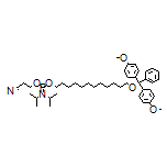 12-[Bis(4-methoxyphenyl)(phenyl)methoxy]dodecyl (2-Cyanoethyl) Diisopropylphosphoramidite