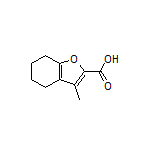 3-Methyl-4,5,6,7-tetrahydrobenzofuran-2-carboxylic Acid