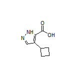 4-Cyclobutyl-1H-pyrazole-5-carboxylic Acid