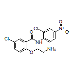 2-(2-Aminoethoxy)-5-chloro-N-(2-chloro-4-nitrophenyl)benzamide