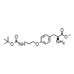 Methyl (S)-2-Amino-3-[4-[3-(Boc-amino)propoxy]phenyl]propanoate