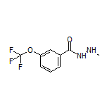 N’-Methyl-3-(trifluoromethoxy)benzohydrazide