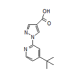 1-[4-(tert-Butyl)pyridin-2-yl]-1H-pyrazole-4-carboxylic Acid