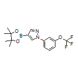 1-[3-(Trifluoromethoxy)phenyl]pyrazole-4-boronic Acid Pinacol Ester
