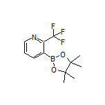2-(Trifluoromethyl)pyridine-3-boronic Acid Pinacol Ester