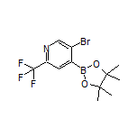 5-Bromo-2-(trifluoromethyl)pyridine-4-boronic Acid Pinacol Ester