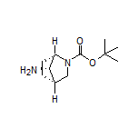 (1S,4S,7S)-2-Boc-2-azabicyclo[2.2.1]heptan-7-amine