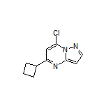 7-Chloro-5-cyclobutylpyrazolo[1,5-a]pyrimidine