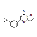 5-[3-(tert-Butyl)phenyl]-7-chloropyrazolo[1,5-a]pyrimidine