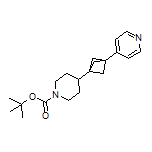 4-[3-(1-Boc-piperidin-4-yl)bicyclo[1.1.1]pentan-1-yl]pyridine