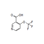 4-(Trifluoromethoxy)nicotinic Acid