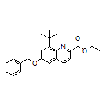 Ethyl 6-(Benzyloxy)-8-(tert-butyl)-4-methylquinoline-2-carboxylate