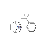 3-[2-(tert-Butyl)phenyl]-8-azabicyclo[3.2.1]oct-2-ene
