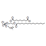 (R)-2-[(9-Oxononanoyl)oxy]-3-(palmitoyloxy)propyl [2-(Trimethylammonio)ethyl] Phosphate