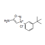 5-Amino-3-[3-(tert-Butyl)phenyl]-1,2,3-oxadiazol-3-ium Chloride