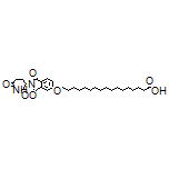 17-[[2-(2,6-Dioxopiperidin-3-yl)-1,3-dioxoisoindolin-5-yl]oxy]heptadecanoic Acid