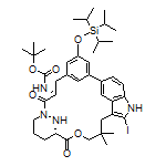 N-[(8S,14S)-4-[1,1-Bis(methylethyl)-2-methyl-1-silapropoxy]-21-iodo-18,18-dimethyl-9,15-dioxo-16-oxa-10,22,29-triazapentacyclo[18.5.2.1[2,6].1[10,14].0[23,27]]nonacosa-1(26),2,4,6(28),20,23(27),24-heptaen-8-yl](tert-butoxy)carboxamide